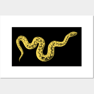 Golden snake Posters and Art